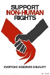 Humanų teisės