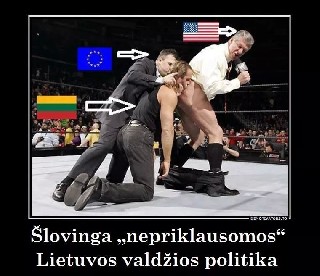 lituvos politika