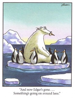 Karikatūra   lokys ir pingvinai