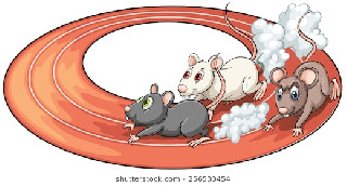 three rats racing above back 260nw 256530454