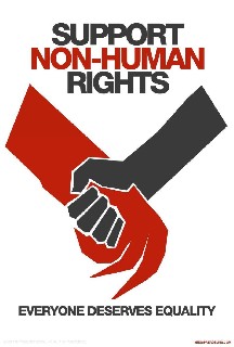 Humanų teisės