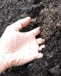 black peat sample